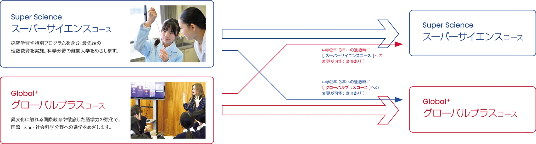柔軟なコース選択