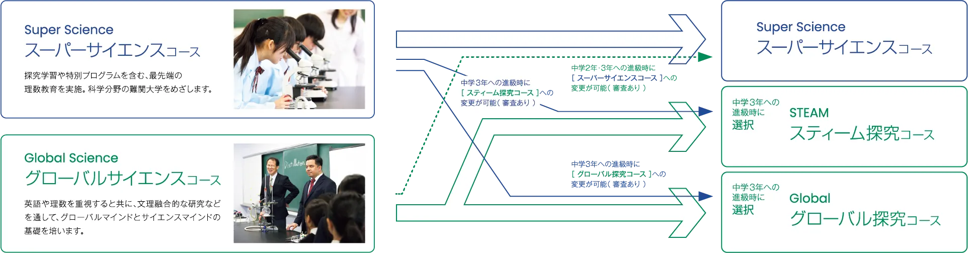 共学部コース